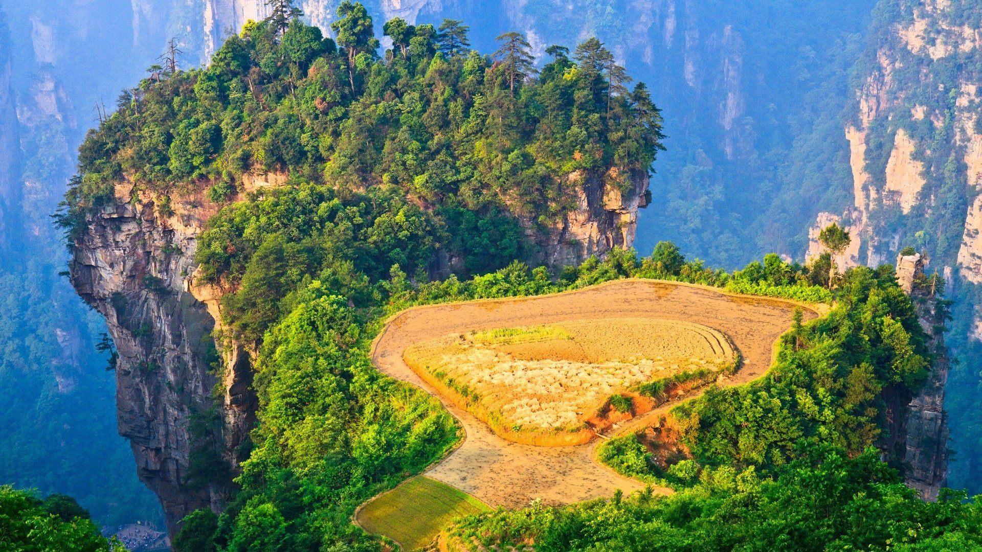 网红商城